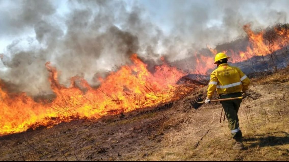 Jujuy perdió 580 hectáreas por incendios: "El 90% fueron intencionales"