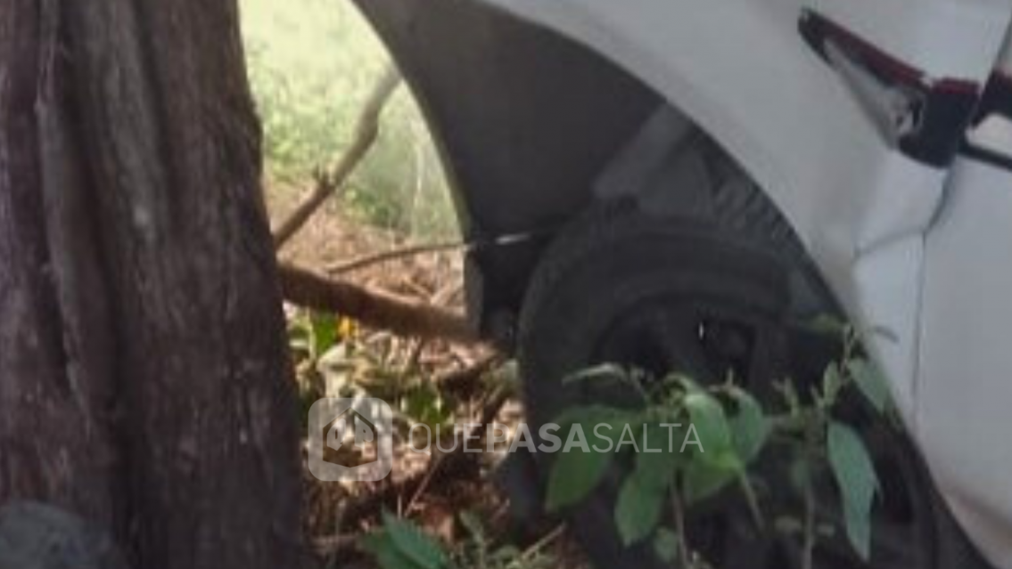 Terrible tragedia en la ruta: perdi� el control, choc� contra un �rbol y muri�