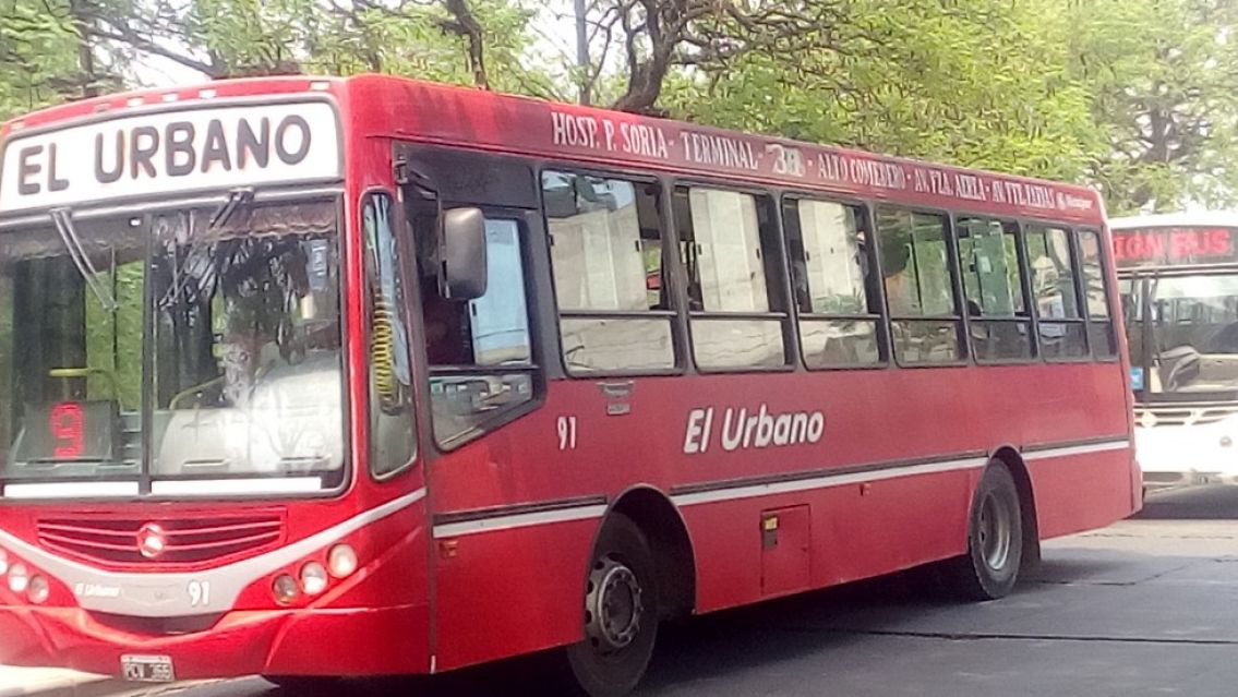 Ya hay colectivos en las calles: choferes quieren trabajar