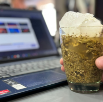 Temporada de "teres", beneficios del Terer&eacute; de cara a la primavera