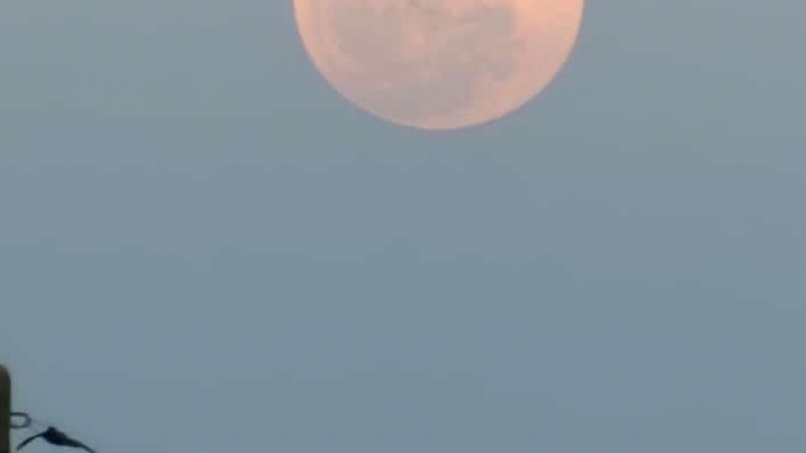 Furor por el eclipse, ¿hasta cuándo se puede ver y cómo afecta a las personas?