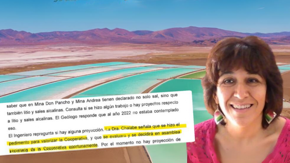 Exclusivo: Alicia Chalabe se metería en el negocio del litio