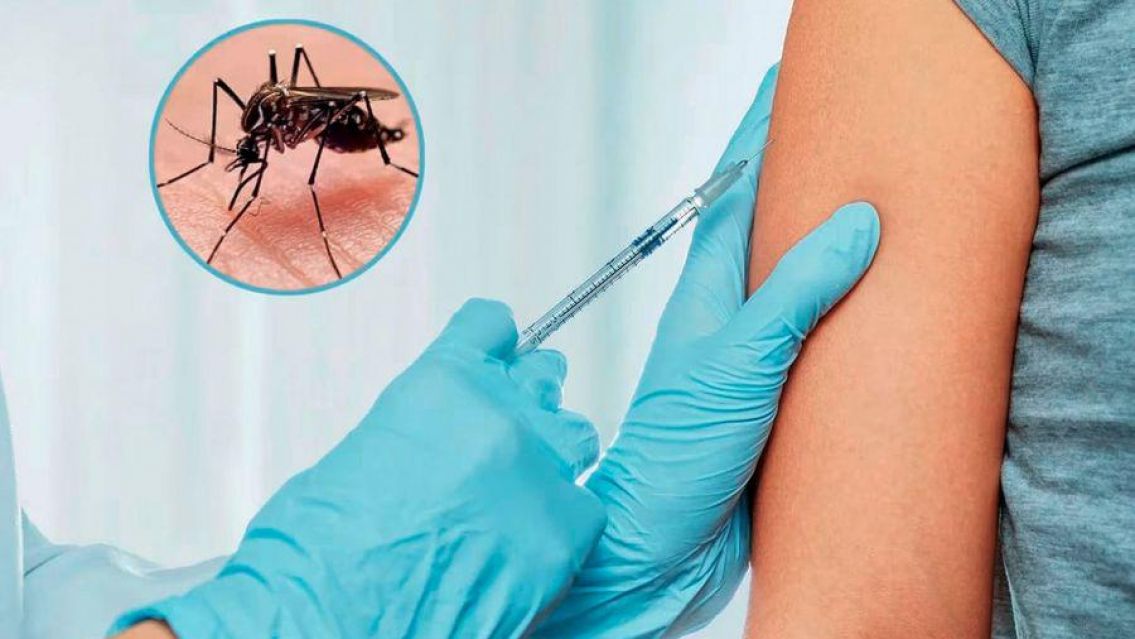 Comienzan a repartir las vacunas contra el dengue: Cómo se hará