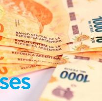 El tr&aacute;mite de ANSES obligatorio para seguir cobrando en 2025: c&oacute;mo hacerlo