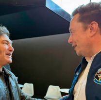 Javier Milei viaja a Estados Unidos: discurso ante la ONU, reuni&oacute;n con Elon Musk y encuentros bilaterales