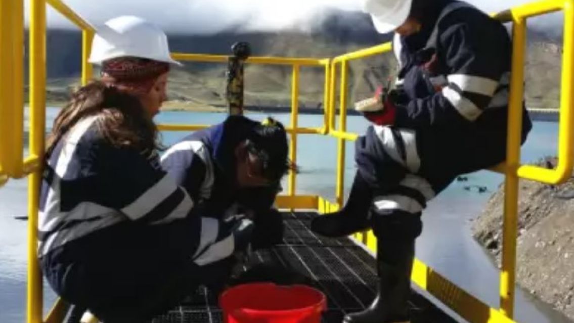 Según el INDEC, Jujuy redujo la desocupación en un 50% en 3 meses