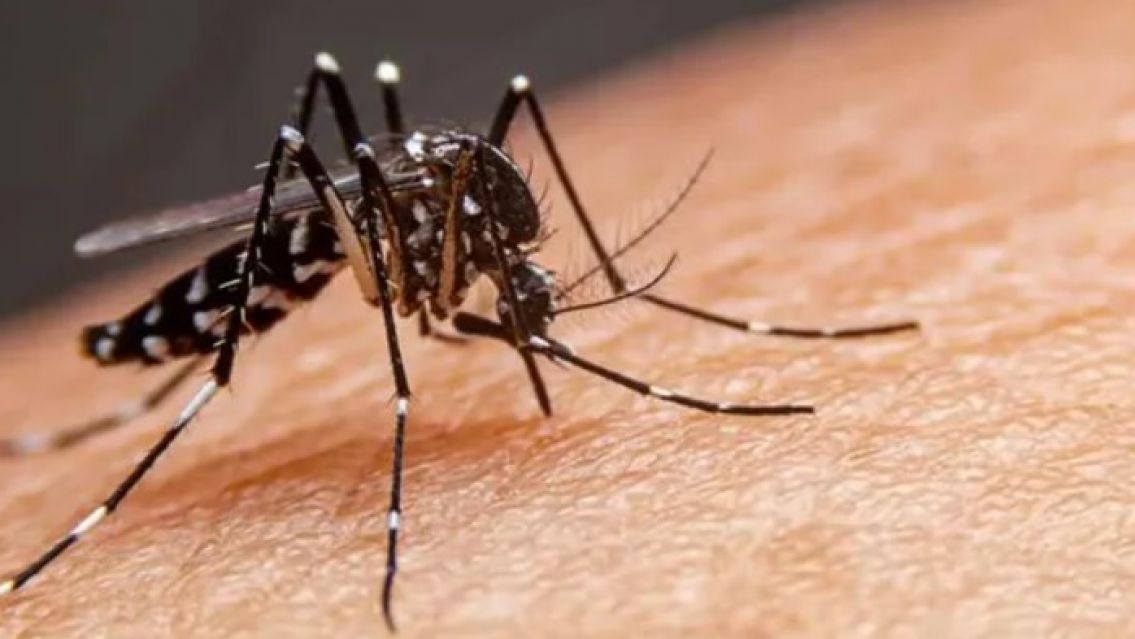 Dengue en Palpalá: la municipalidad culpa a los vecinos