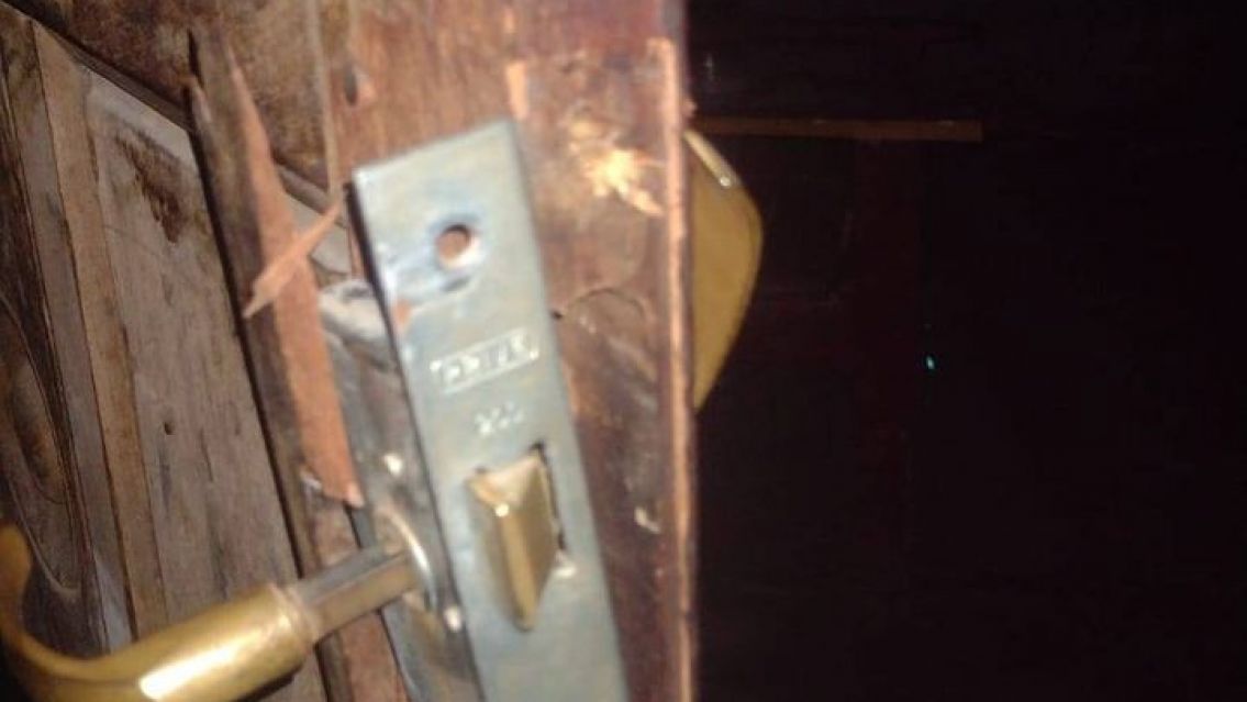 "El perro de la vecina se comió a mi gata": la pesadilla que vive una familia jujeña