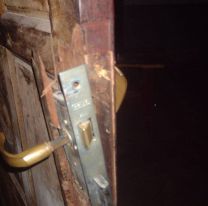 "El perro de la vecina se comi&oacute; a mi gata": la pesadilla que vive una familia juje&ntilde;a