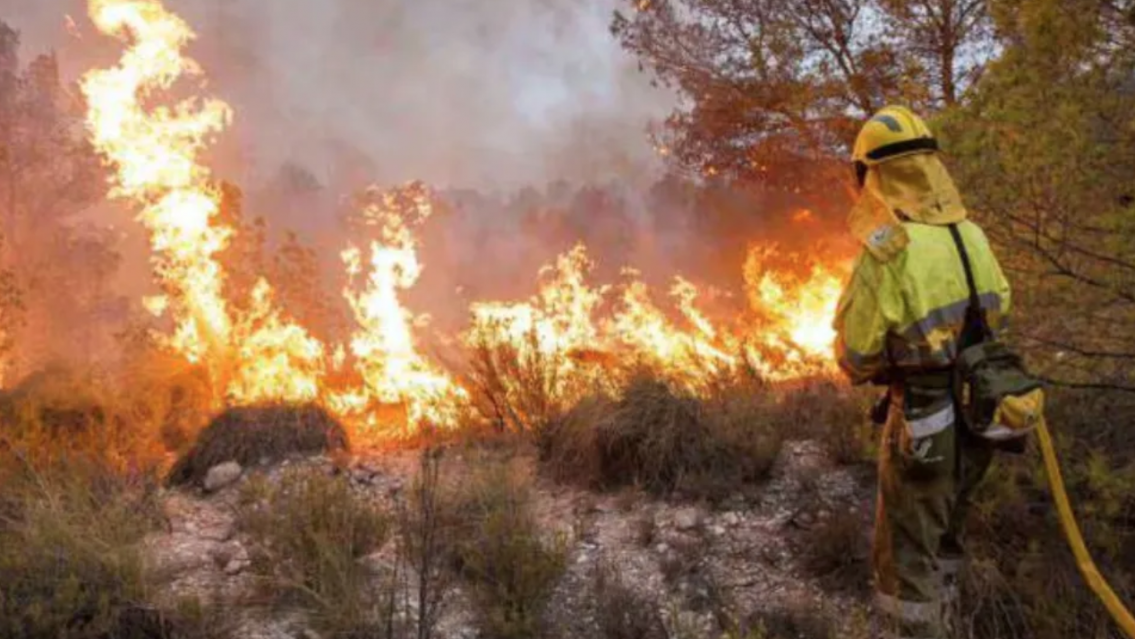 Más de 1500 hectáreas arrasadas por incendios en Jujuy