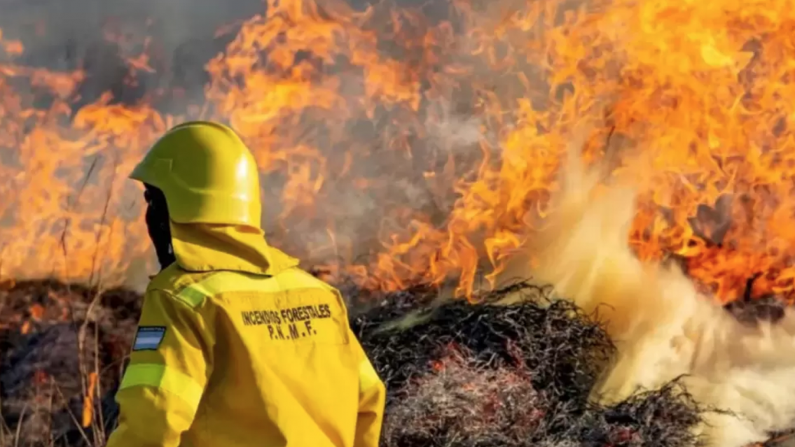 En la �ltima semana se registraron 37 incendios forestales en Jujuy