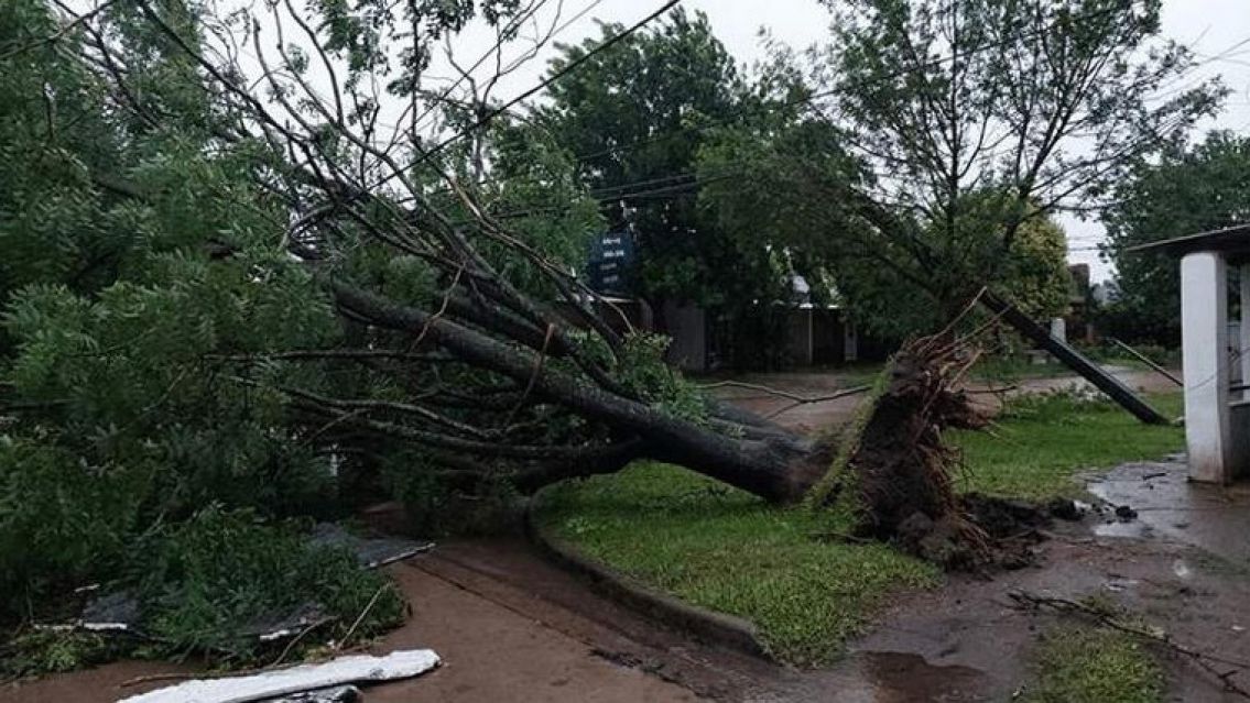 El "cordonazo de San Francisco" ya provocó voladuras de techos: Ráfagas de 100 km/h