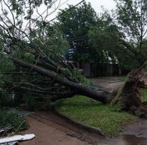 El "cordonazo de San Francisco" ya provoc&oacute; voladuras de techos: R&aacute;fagas de 100 km/h