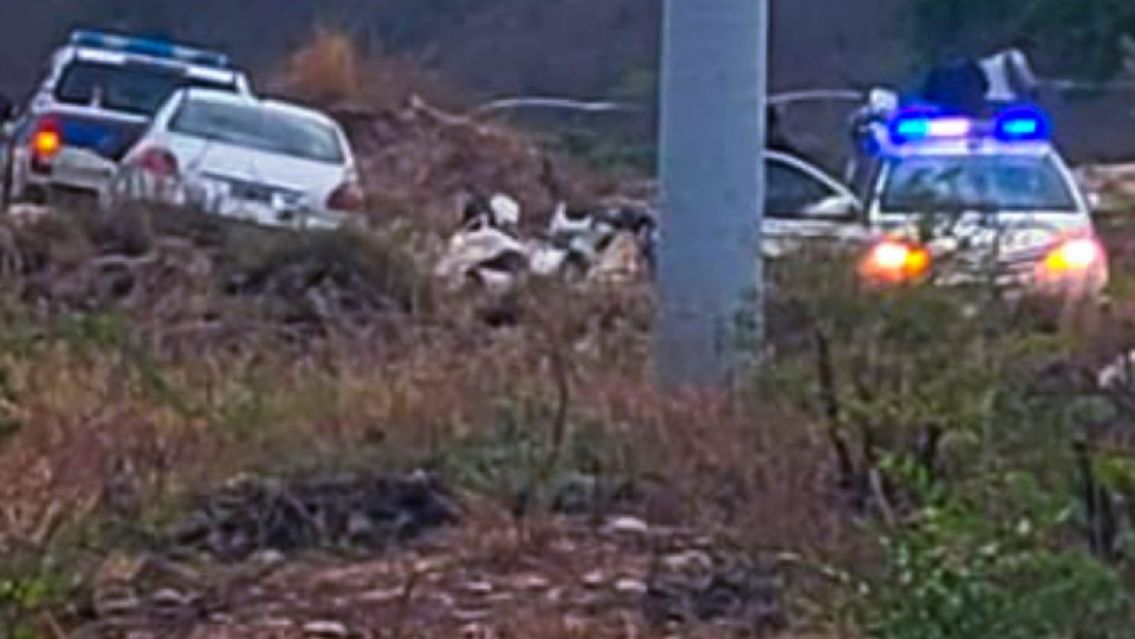 Terror en ruta juje�a: ponen palos y piedras para robarte todo