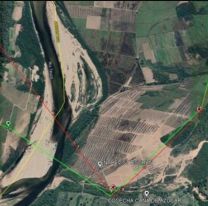 Detectan plantaciones ilegales de caña de azúcar de Bolivia en territorio argentino