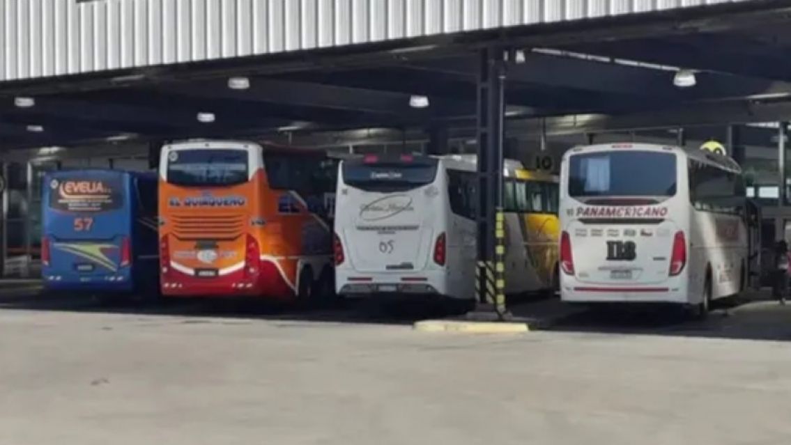 Alerta en Jujuy: Nación anunció la desregulación del transporte interjurisdiccional