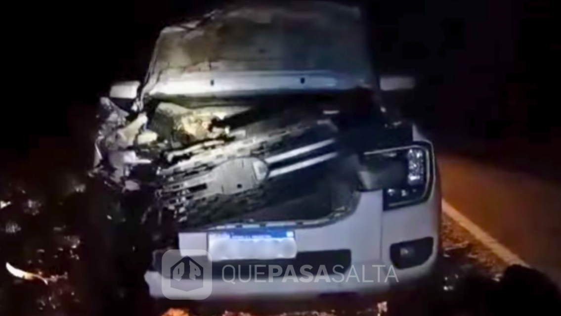 Terrible accidente en Ruta 34: camioneta le dio a una vaca y casi no la cuenta
