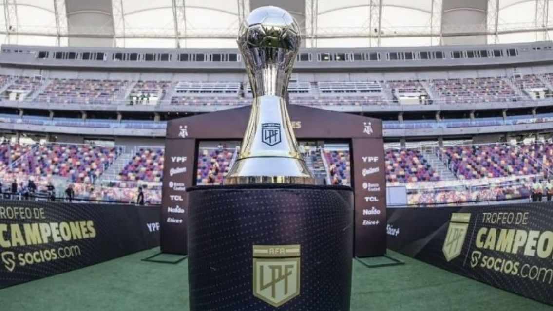 La AFA elimin� los descensos en la actual temporada: �C�mo quedar� la Liga?