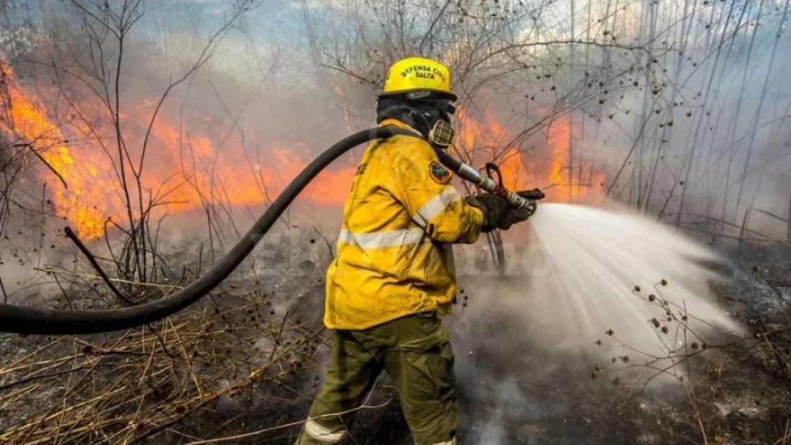 Los incendios forestales bajaron un 80% en Jujuy