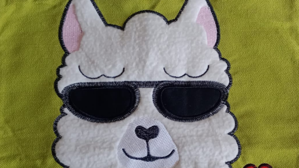 Una alternativa sabrosa y barata en Jujuy, la carne de llama. ¿Ya probaste?