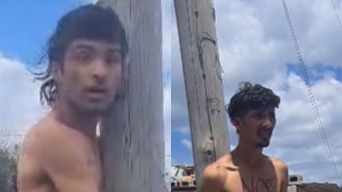 Dejó a un chorro atado a un poste y ahora agarró a otro más: es "El Zorro" del norte