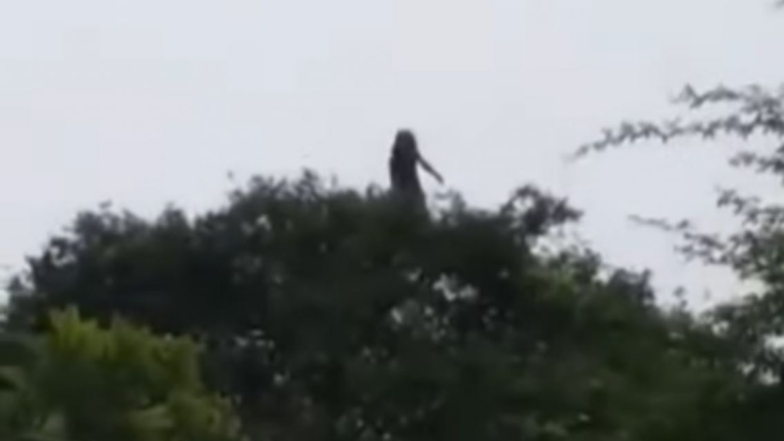 Dos salteños fueron al río y se encontraron con tres "brujas": "Sentimos una risa..."