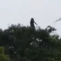 Dos salteños fueron al río y se encontraron con tres "brujas": "Sentimos una risa..."