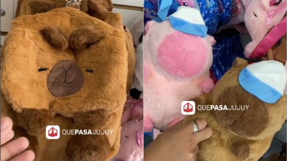Furor por los capibaras en Jujuy ¿Cuánto salen los peluches más tiernos?
