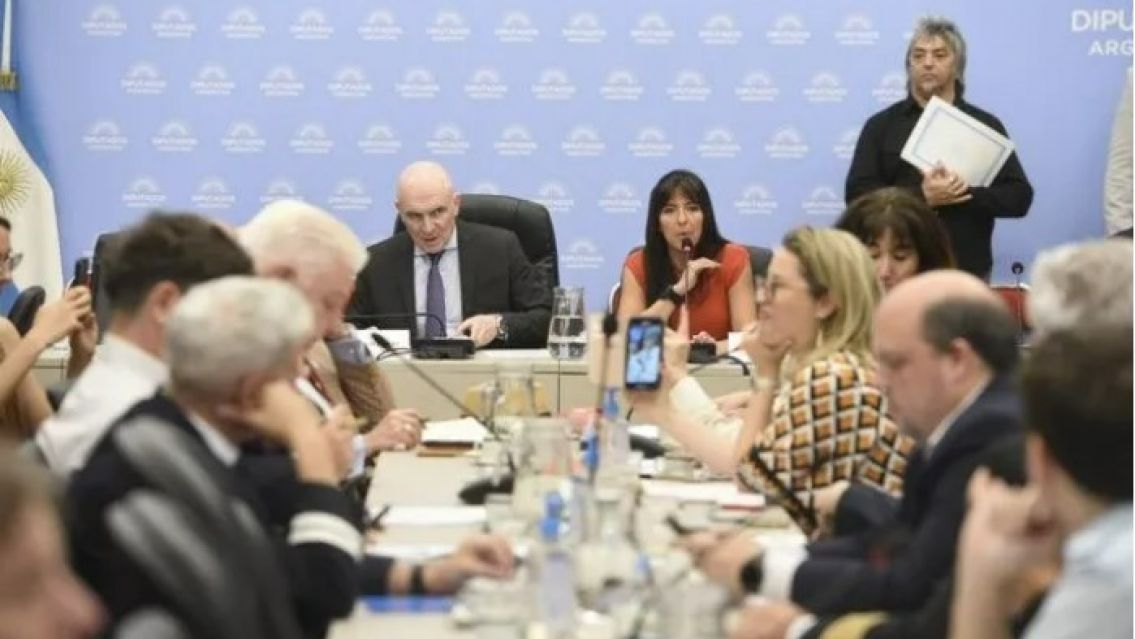 El gobierno consigui� dictamen para la privatizaci�n total de Aerol�neas Argentinas