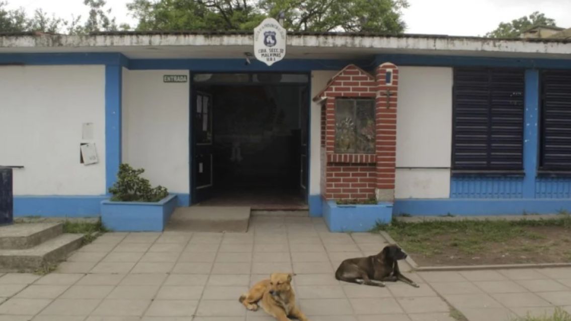 Un ni�o fue atacado por un perro en Jujuy: tiene heridas en la cara y en lo brazos