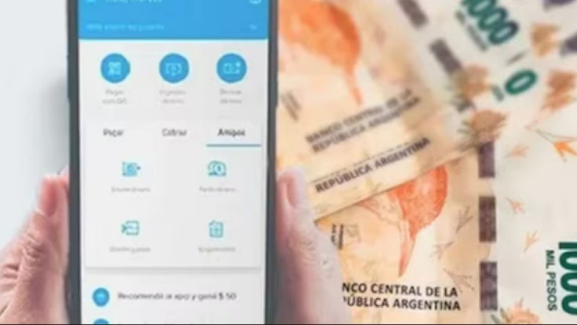 Cu�nto dinero se podr� tener en una billetera virtual en noviembre sin tener problemas con la ARCA (ex AFIP)