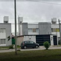 La tremenda v&iacute;bora que apareci&oacute; en un barrio y asust&oacute; a todos