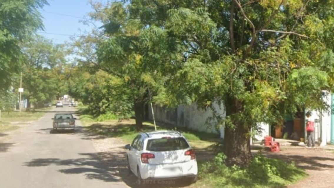 Rosarino orin� en un �rbol y lo picaron las abejas: muri� tras agonizar tres d�as