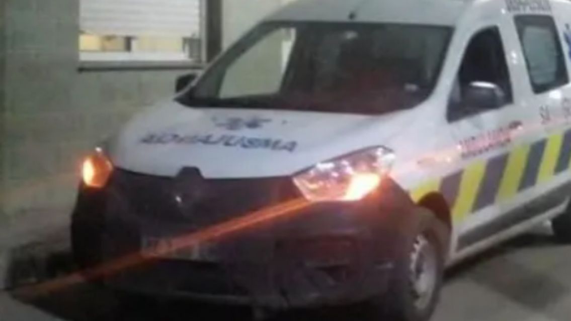 [HORROR] Un nene fue atacado por dos pitbulls mientras andaba en bici: profundo dolor