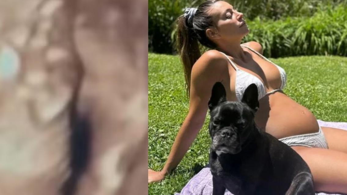 Sol P�rez mostr� su panza de 4 meses en el programa de Susana Gim�nez