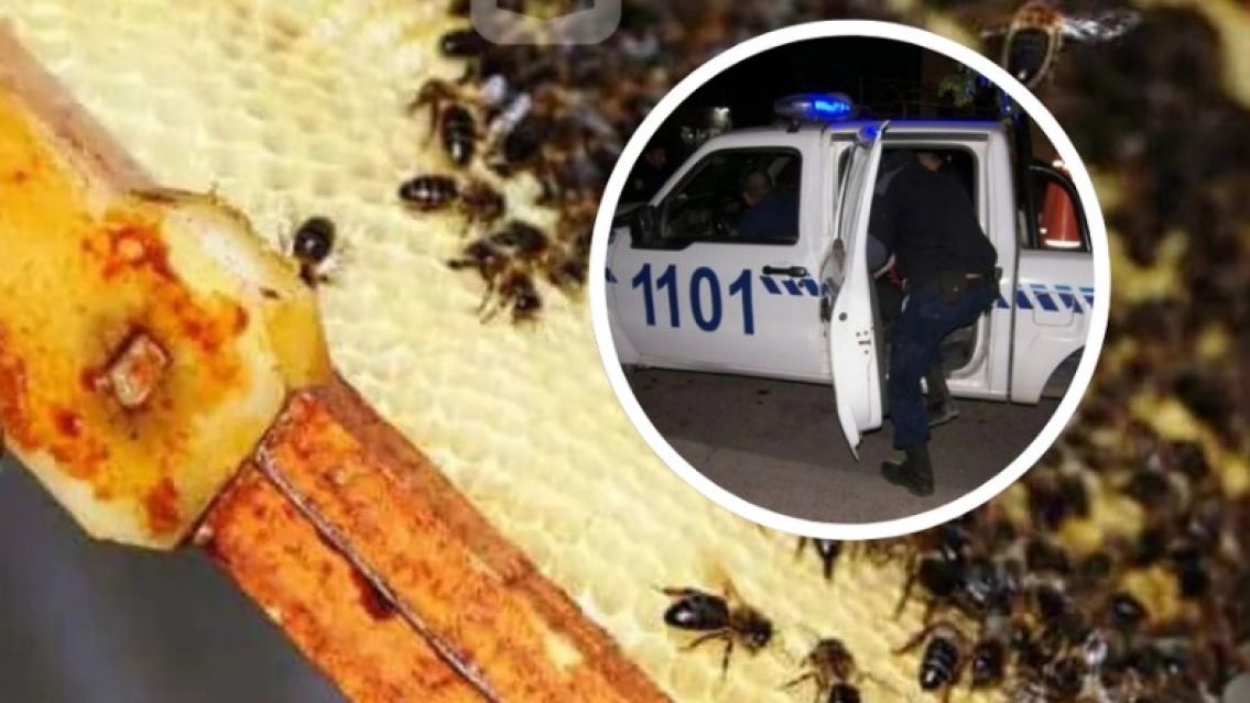 Fueron a desalojar una casa y los atacaron con abejas: varios policías heridos