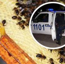 Fueron a desalojar una casa y los atacaron con abejas: varios polic&iacute;as heridos