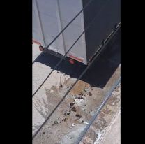 Camión de Quilmes hizo un enchastre en el centro de Perico y escapó sin limpiar nada