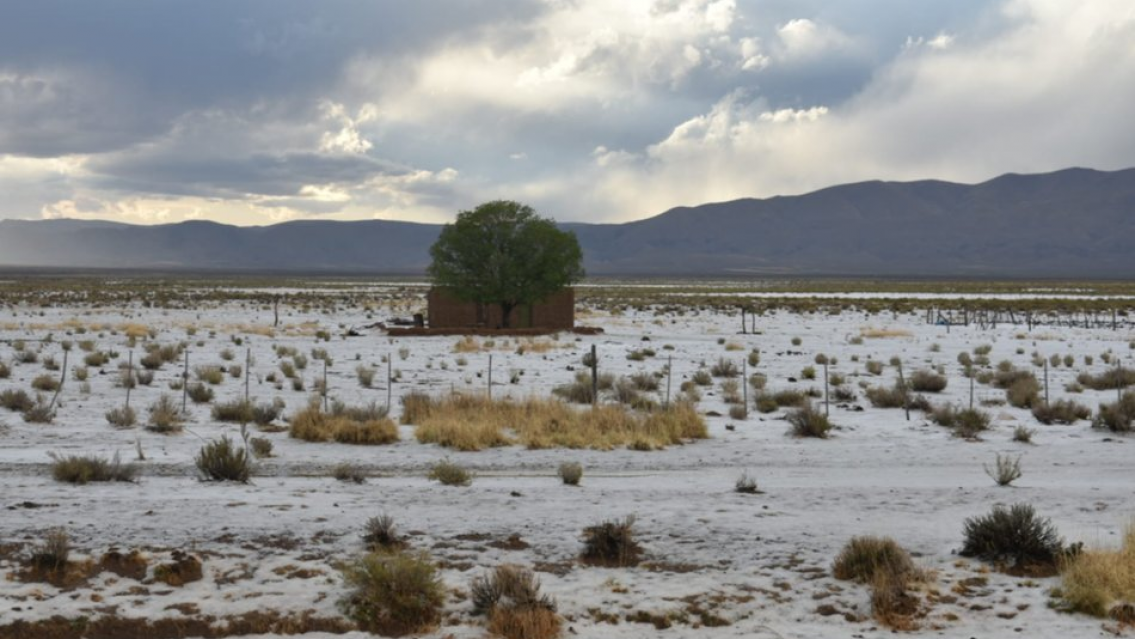 Incre�ble: el pueblito de Jujuy que apareci� blanco en plena primavera