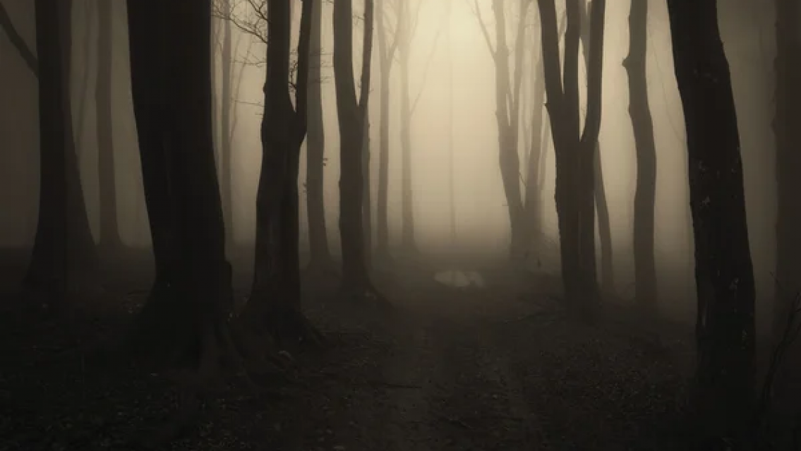 Norteña escuchó un ruido raro y terminó a los gritos: "Tengo mucho miedo"