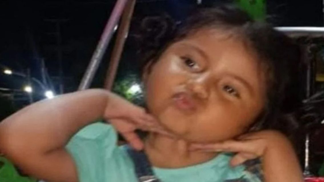 Desesperada búsqueda de Alison Tolaba Portal en Jujuy: Tiene solo 2 años