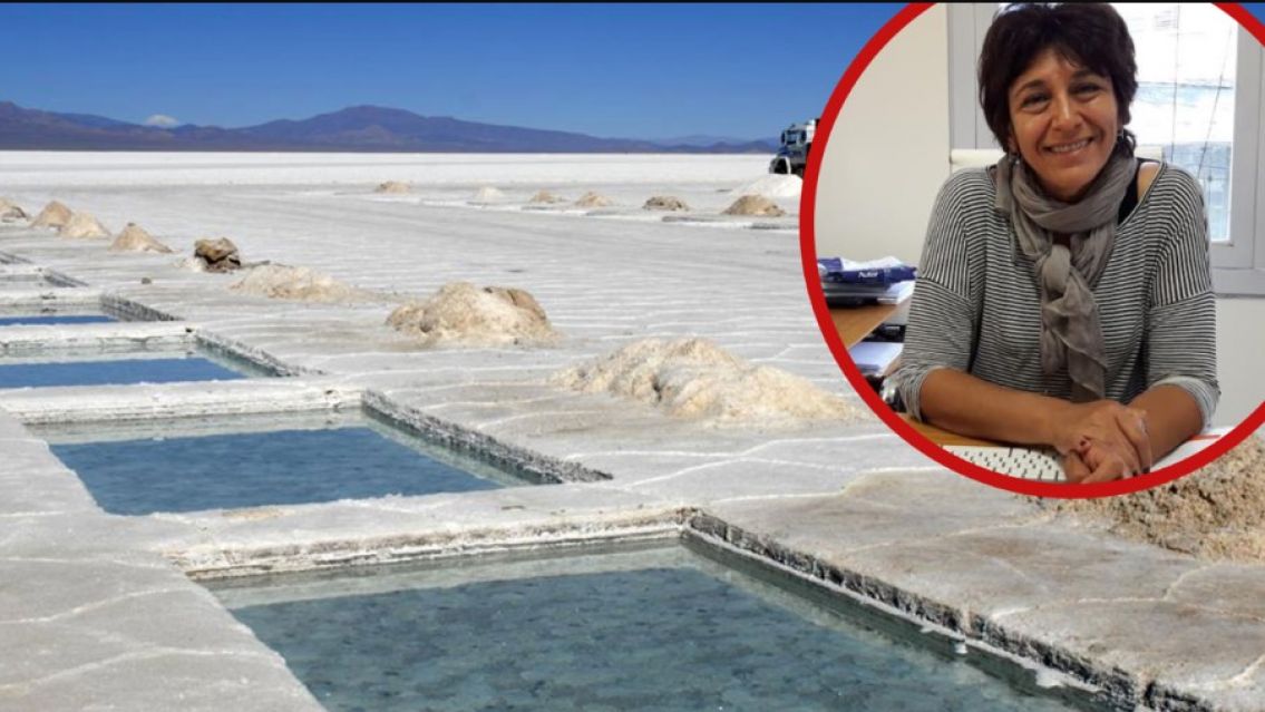 Sal no apta para el consumo: m�s problemas para la comunidad que maneja Alicia Chalabe