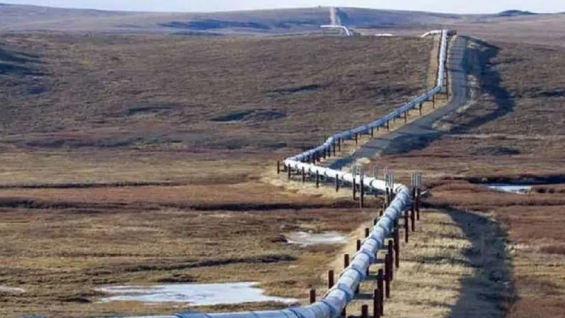 YPF anunci� una inversi�n de 3000 millones de d�lares para Vaca Muerta Sur