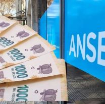 Monto actualizado de la Tarjeta Alimentar en diciembre 2024: cu&aacute;nto se cobrar&aacute;