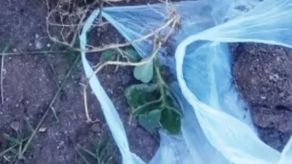 Un trabajador norteño descubrió algo horroroso en un canal: lo vio y comenzó a gritar