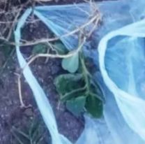 Un trabajador norte&ntilde;o descubri&oacute; algo horroroso en un canal: lo vio y comenz&oacute; a gritar