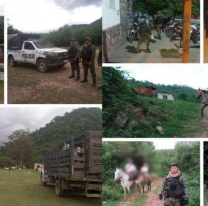 Rescataron a cuatro turistas juje&ntilde;os varados en medio de las yungas