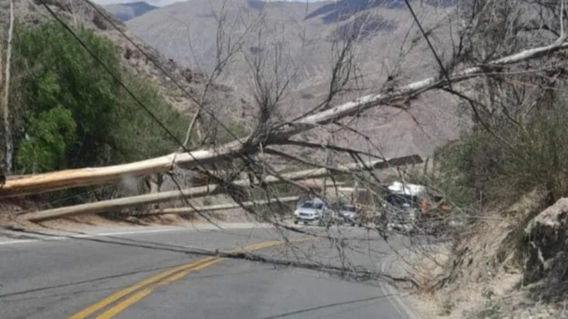 Se cay� un �rbol sobre la Ruta 52 en Purmamarca y provoc� un corte total