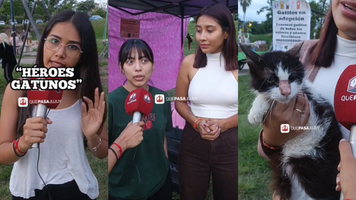 "H�roes gatunos" contra las colonias en Jujuy