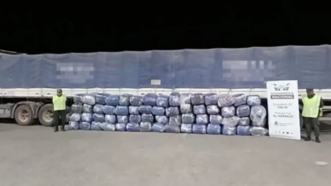 Decomisaron más de una tonelada de hojas de coca de un camión de cargas